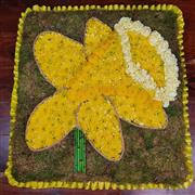 Daffodil Tribute 