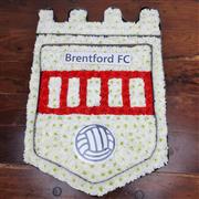 Brentford FC Tribute Sheild