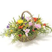 Mixed Freesia Basket