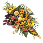 Mixed Sheaf Arrangement