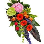 Vibrant Sheaf