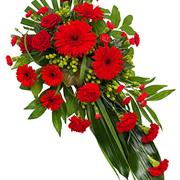 Red Single Ended Spray