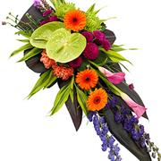 Vibrant Single Ended Spray