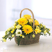 Bright Basket