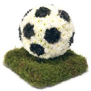 Football Tribute 