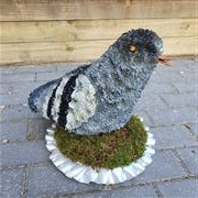 3D Pigeon Tribute