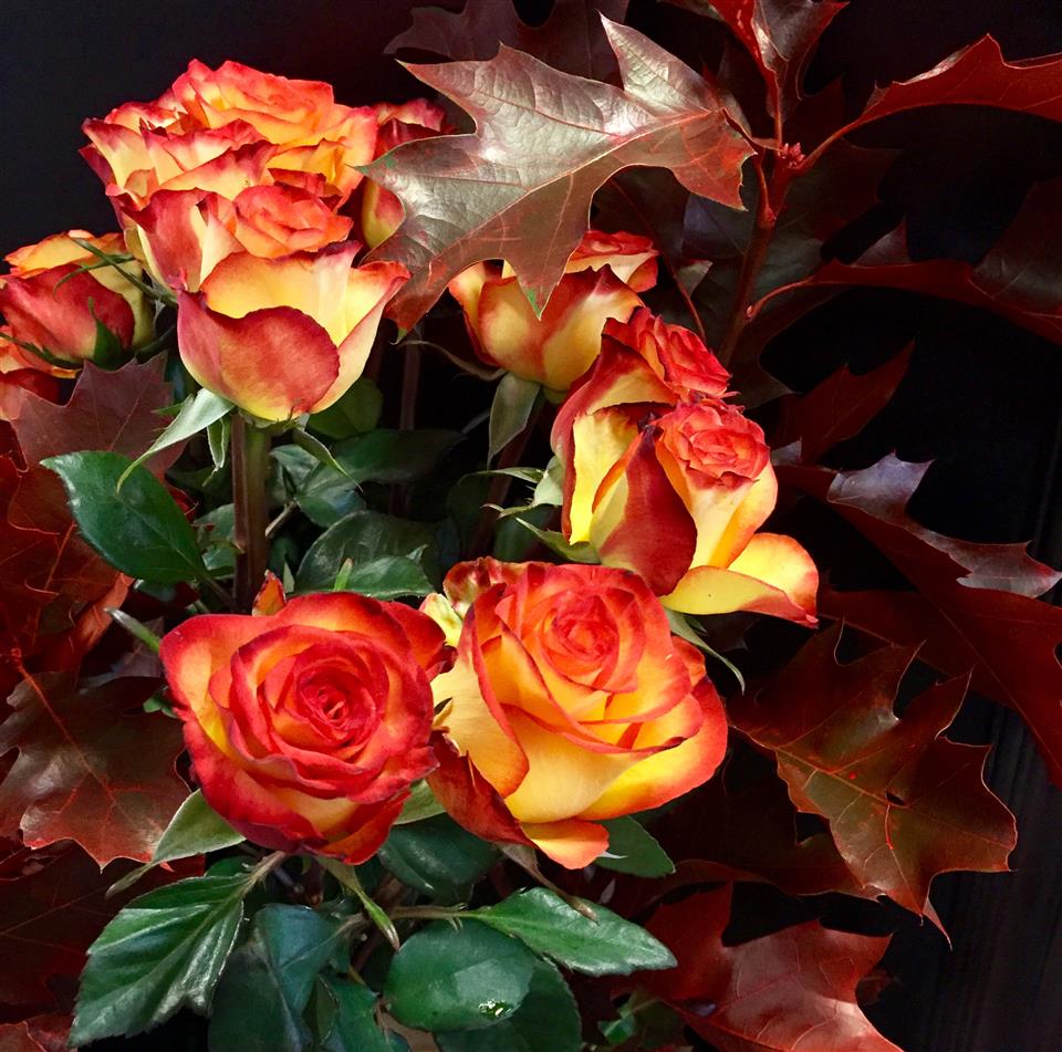 Autumn Flowers