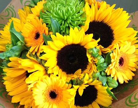 Summer Flowers